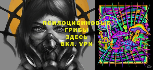 мдпв Бугульма