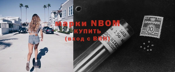 индика Верхнеуральск