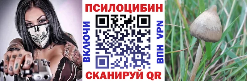 Псилоцибиновые грибы MAGIC MUSHROOMS  KRAKEN рабочий сайт  Старый Оскол 